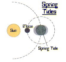 Spring Tides Diagram