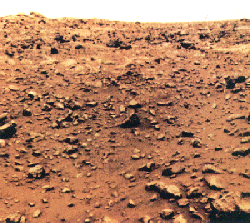 Surface of Mars from Viking 1