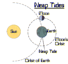 Neap tides diagram