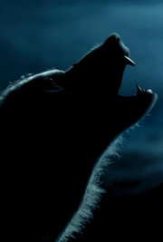 Werewolves